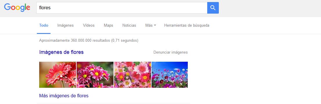 universal_search_flores